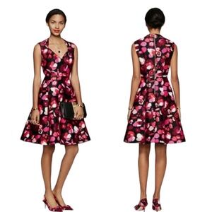 Kate Spade New York Falling Floral Print Knee A-Line Retro Pinup Party Dress 6